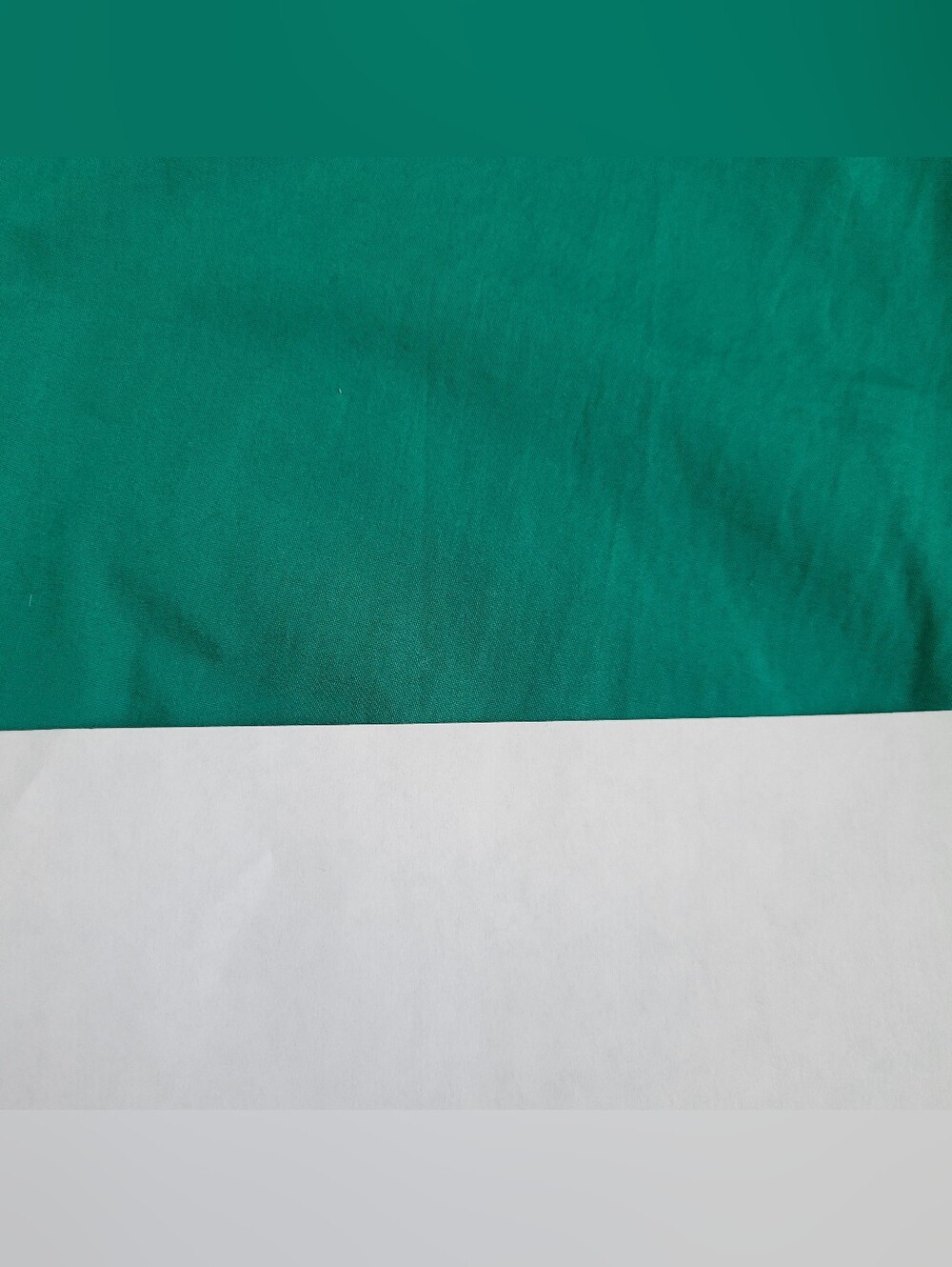 Gap Organic Cotton Poplin Relaxed Easy Stripe Pants Baize Green Barrel XS NWT - Picture 10 of 10